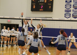 No. 5 Peyton Brockovich