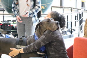 Kirkwood therapy dog Dex