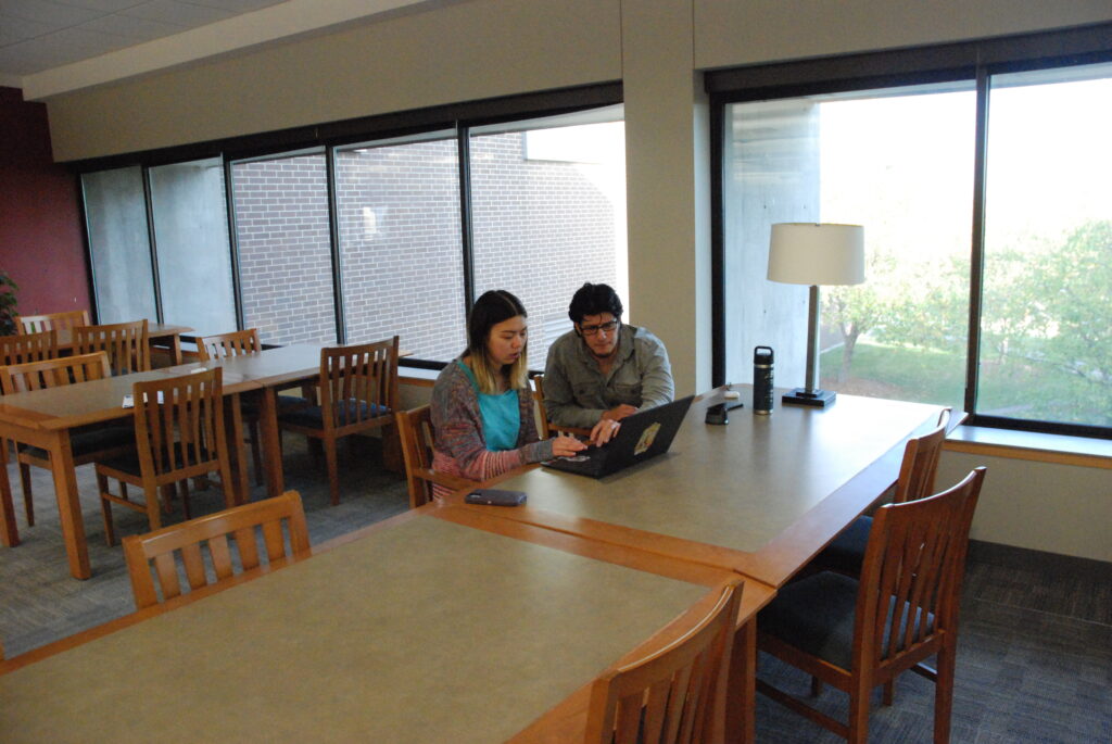 two students studying thogether in a library