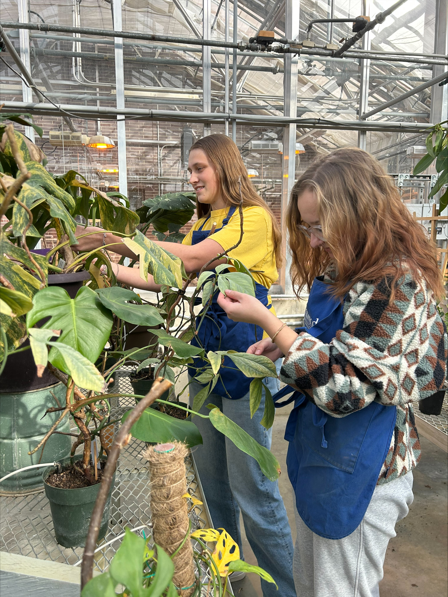 College greenhouse grows community connection