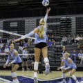 VBallNo9