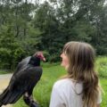 Turkey Vulture and Trainer
