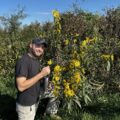 Garrett Stumbaugh Identifies Flowers