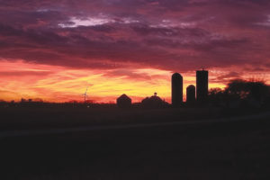 Farm sunset